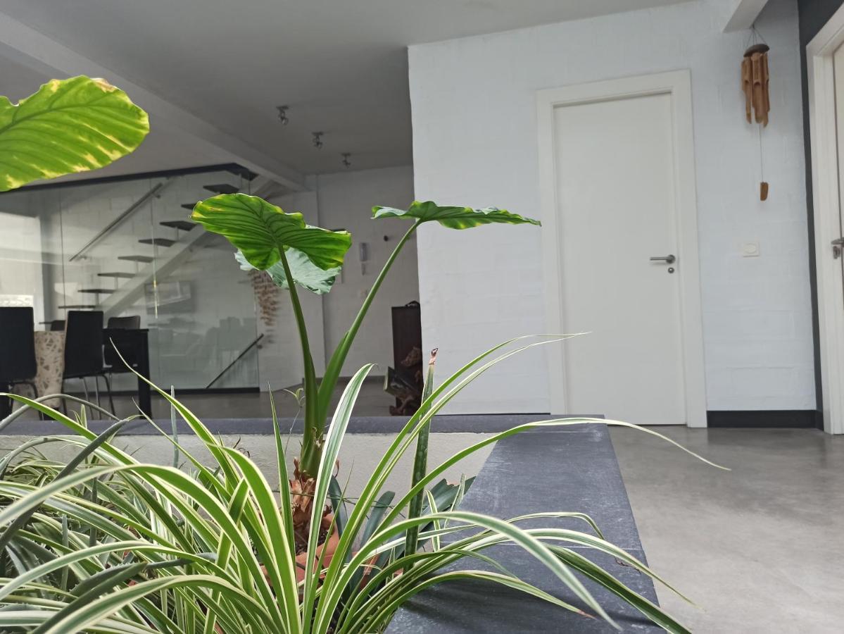Ferienwohnung Loft Carrasketa Alfafara Exterior foto